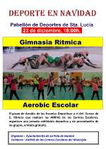 Cartel Exhibición Gimnasia Rítmica y Aerobic Escolar