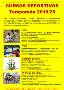 Cartel de Cursos Deportivos