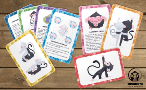 exposición del juego de Yoga de Patrcia